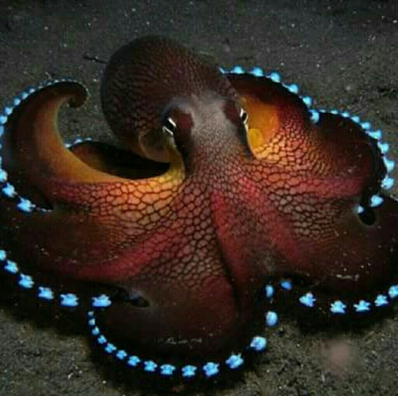 Like it?  Make an offer! - Picture 1 of 1